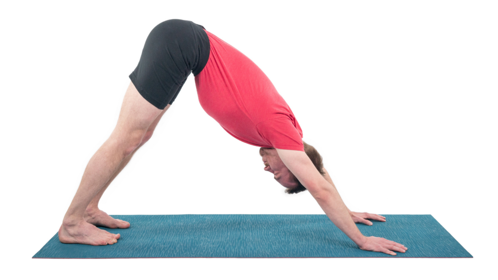 Downward Facing Dog yoga pose